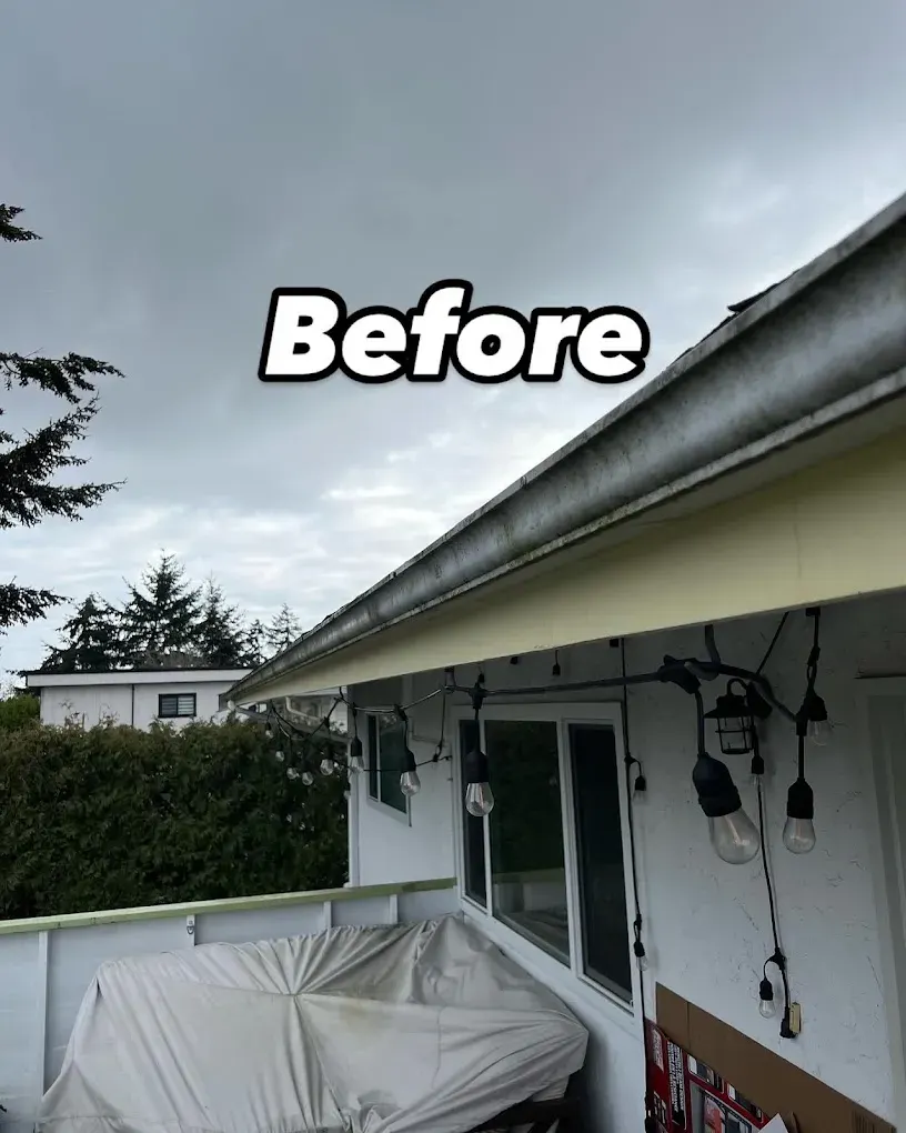 Before gutter cleaning: a grimy, streaked gutter edge above a covered patio