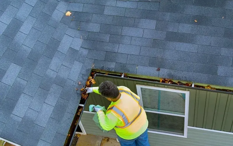 Clearing wet leaves from a gutter by hand from a ladder at the eave