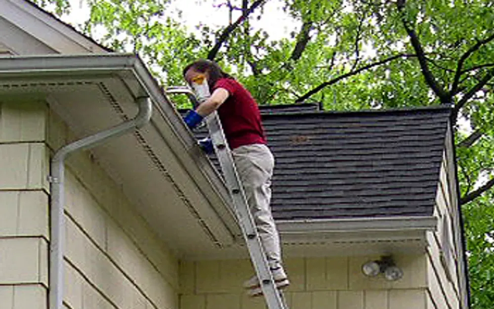 A person on an extension ladder clearing a gutter below leafy trees
