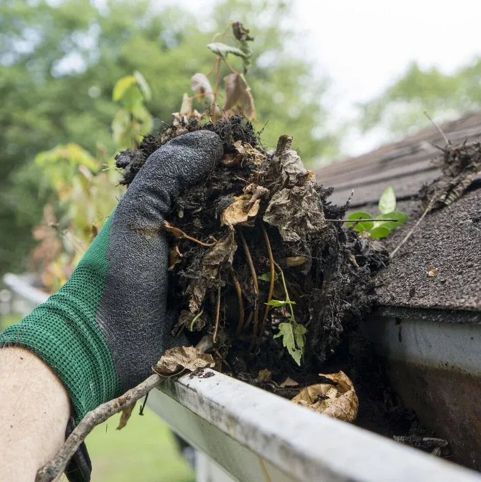 A gloved hand lifting a heavy mat of wet leaves out of a gutter